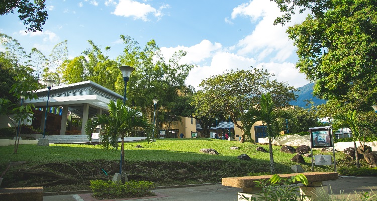 Campus Universidad de Ibagué