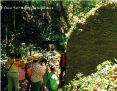 Influencia regional de las minas de Nuestra Señora del Rosario (El Sapo) y Falan (Tolima)